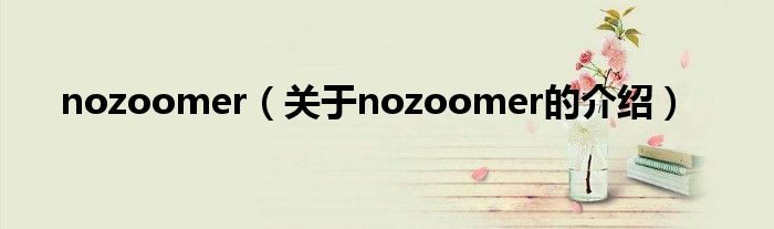 nozoomer【关于nozoomer的介绍】