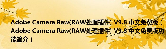 Adobe Camera Raw(RAW处理插件) V9.8 中文免费版【Adobe Camera Raw(RAW处理插件) V9.8 中文免费版功能简介】