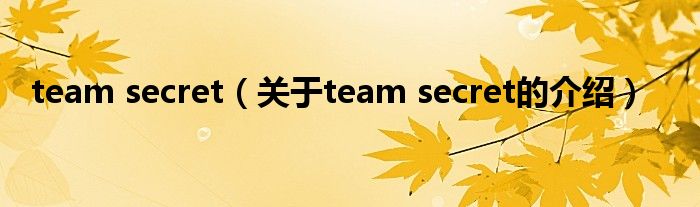 team secret【关于team secret的介绍】