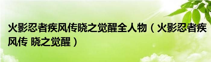 火影忍者疾风传晓之觉醒全人物【火影忍者疾风传 晓之觉醒】