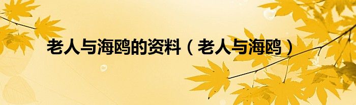 老人与海鸥的资料【老人与海鸥】