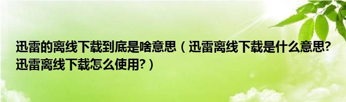 迅雷的离线下载到底是啥意思【迅雷离线下载是什么意思?迅雷离线下载怎么使用?】