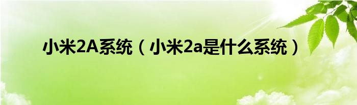 小米2A系统【小米2a是什么系统】