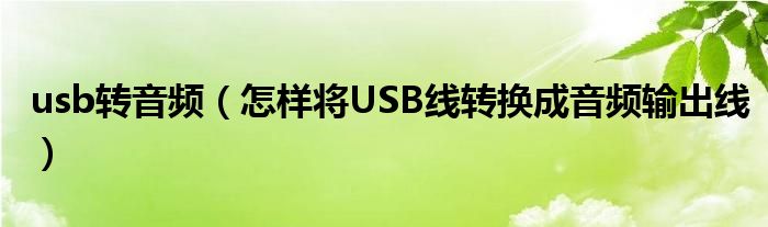 usb转音频【怎样将USB线转换成音频输出线】