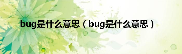 bug是什么意思【bug是什么意思】