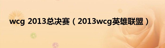 wcg 2013总决赛【2013wcg英雄联盟】