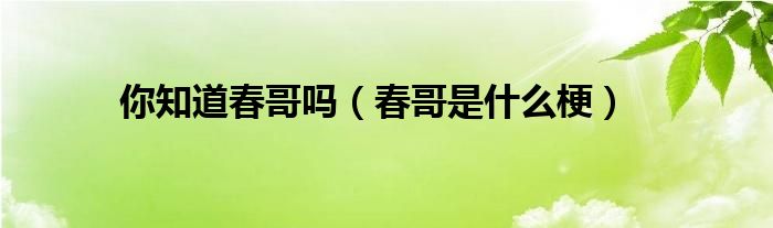 你知道春哥吗【春哥是什么梗】