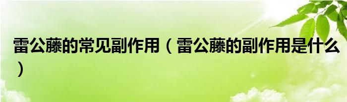 雷公藤的常见副作用【雷公藤的副作用是什么】