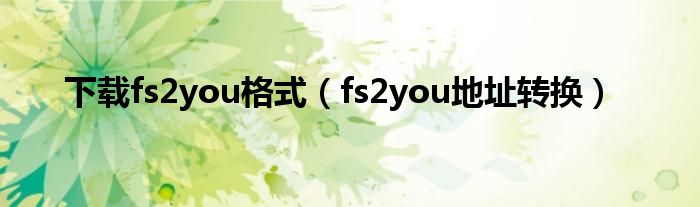 下载fs2you格式【fs2you地址转换】