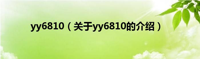 yy6810【关于yy6810的介绍】