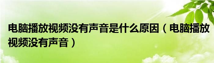 电脑播放视频没有声音是什么原因【电脑播放视频没有声音】