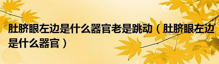 肚脐眼左边是什么器官老是跳动【肚脐眼左边是什么器官】