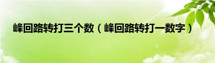 峰回路转打三个数【峰回路转打一数字】