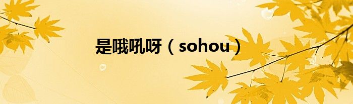 是哦吼呀【sohou】