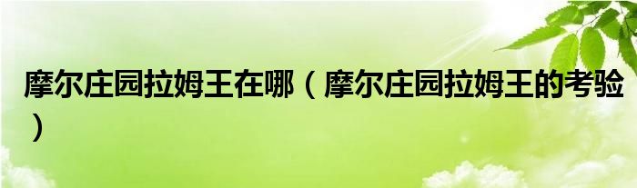 摩尔庄园拉姆王在哪【摩尔庄园拉姆王的考验】