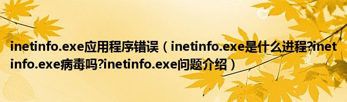 inetinfo.exe应用程序错误【inetinfo.exe是什么进程?inetinfo.exe病毒吗?inetinfo.exe问题介绍】