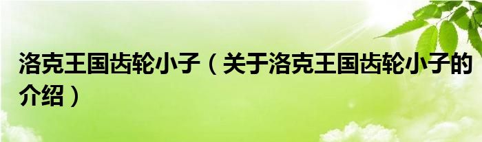 洛克王国齿轮小子【关于洛克王国齿轮小子的介绍】