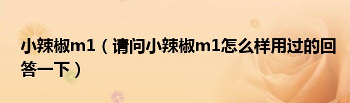 小辣椒m1【请问小辣椒m1怎么样用过的回答一下】