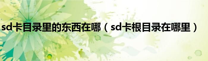 sd卡目录里的东西在哪【sd卡根目录在哪里】