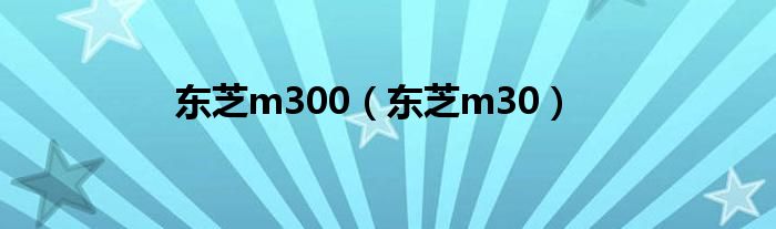 东芝m300【东芝m30】