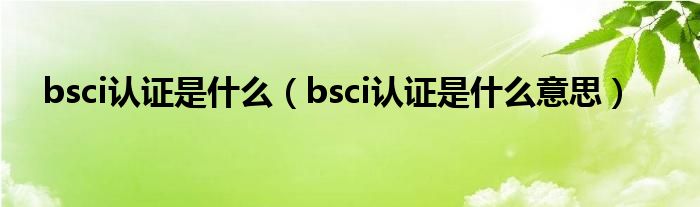 bsci认证是什么【bsci认证是什么意思】