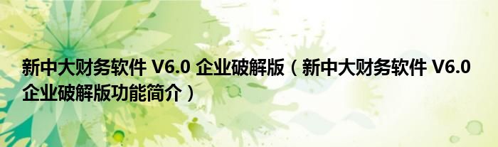 新中大财务软件 V6.0 企业破解版【新中大财务软件 V6.0 企业破解版功能简介】