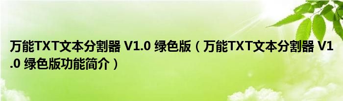 万能TXT文本分割器 V1.0 绿色版【万能TXT文本分割器 V1.0 绿色版功能简介】