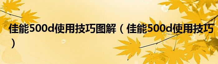 佳能500d使用技巧图解【佳能500d使用技巧】