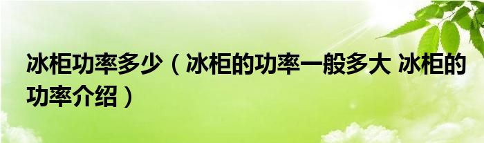 冰柜功率多少【冰柜的功率一般多大 冰柜的功率介绍】