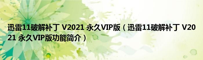 迅雷11破解补丁 V2021 永久VIP版【迅雷11破解补丁 V2021 永久VIP版功能简介】