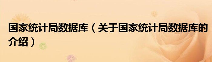 国家统计局数据库【关于国家统计局数据库的介绍】