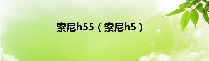 索尼h55【索尼h5】