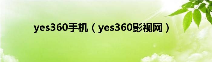 yes360手机【yes360影视网】