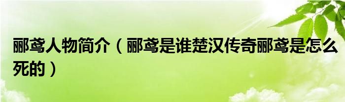 郦鸢人物简介【郦鸢是谁楚汉传奇郦鸢是怎么死的】