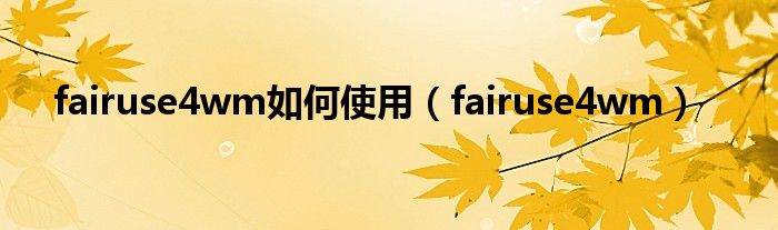 fairuse4wm如何使用【fairuse4wm】