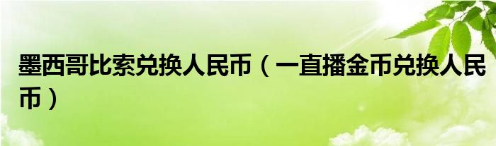 墨西哥比索兑换人民币【一直播金币兑换人民币】