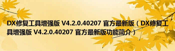 DX修复工具增强版 V4.2.0.40207 官方最新版【DX修复工具增强版 V4.2.0.40207 官方最新版功能简介】