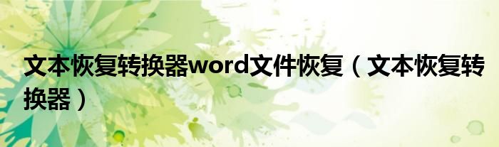 文本恢复转换器word文件恢复【文本恢复转换器】