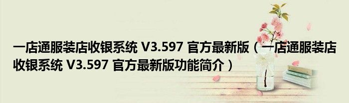 一店通服装店收银系统 V3.597 官方最新版【一店通服装店收银系统 V3.597 官方最新版功能简介】