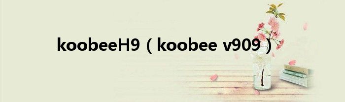 koobeeH9【koobee v909】