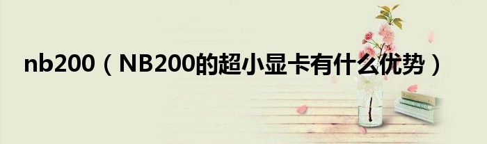 nb200【NB200的超小显卡有什么优势】