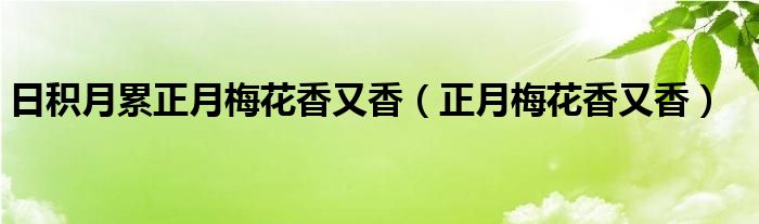 日积月累正月梅花香又香【正月梅花香又香】