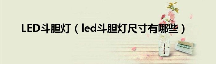 LED斗胆灯【led斗胆灯尺寸有哪些】