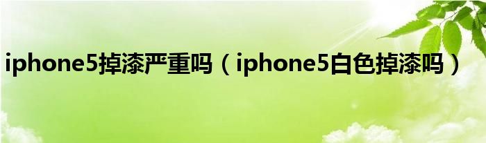 iphone5掉漆严重吗【iphone5白色掉漆吗】