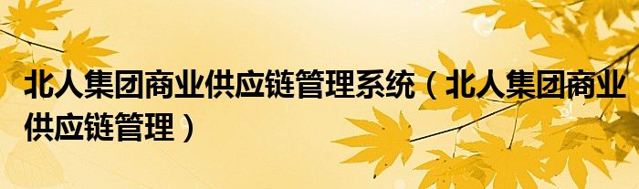 北人集团商业供应链管理系统【北人集团商业供应链管理】