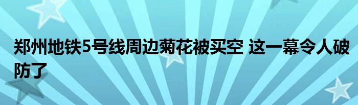 郑州地铁5号线周边菊花被买空 这一幕令人破防了