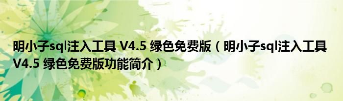 明小子sql注入工具 V4.5 绿色免费版【明小子sql注入工具 V4.5 绿色免费版功能简介】