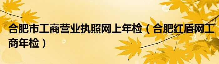 合肥市工商营业执照网上年检【合肥红盾网工商年检】