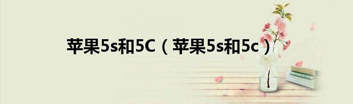 苹果5s和5C【苹果5s和5c】