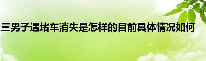 三男子遇堵车消失是怎样的目前具体情况如何